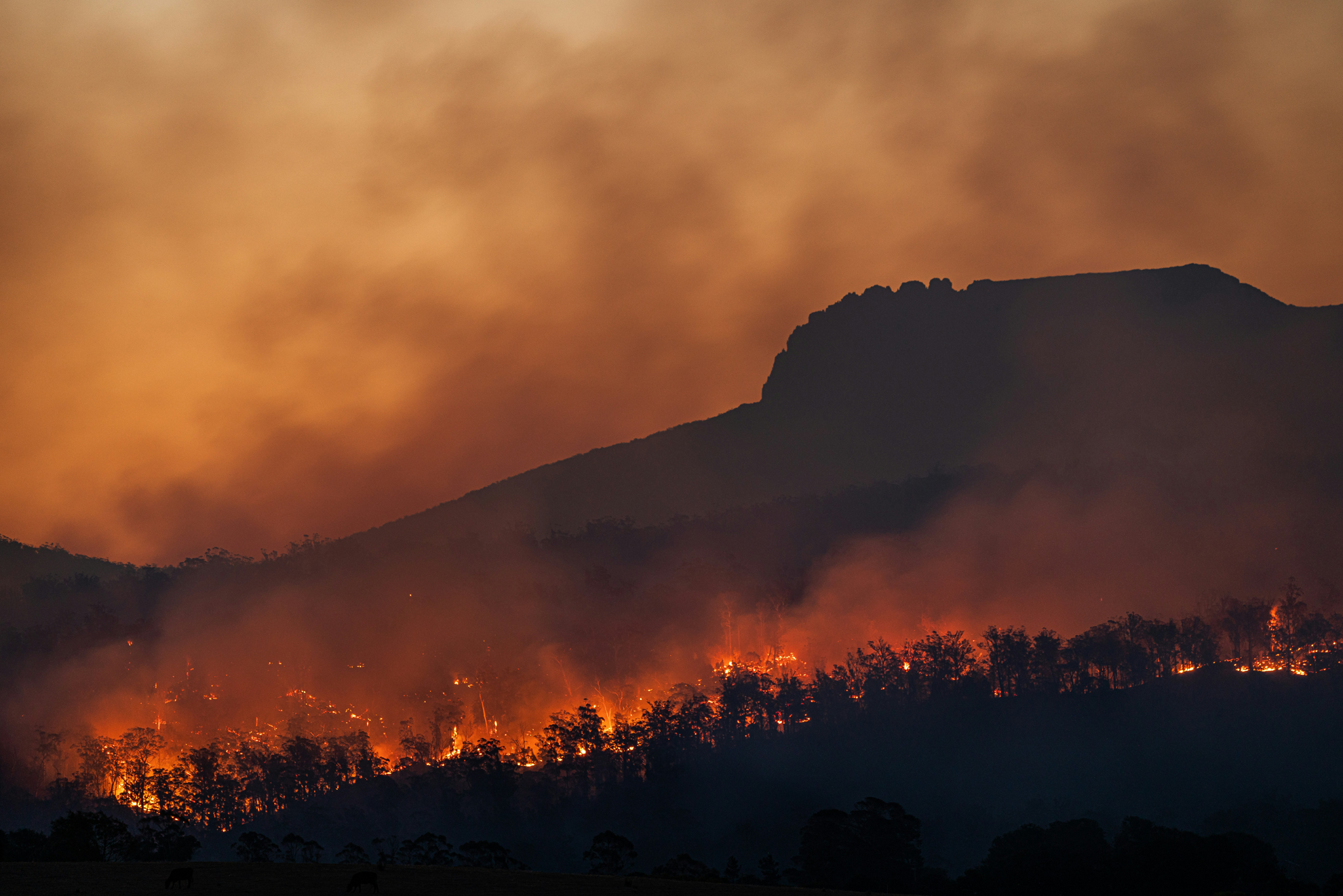 Fighting wildfires in the Pantanal, Brazil