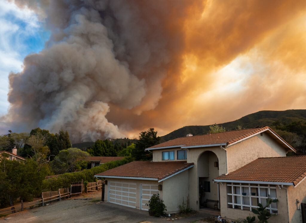 Wildfires